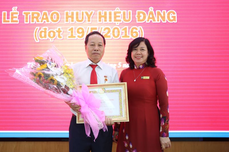 cá cược thể thao hul city